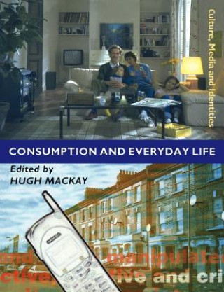 Kniha Consumption and Everyday Life Hugh Mackay