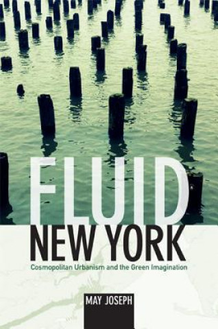 Knjiga Fluid New York May Joseph