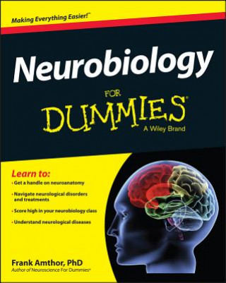 Könyv Neurobiology For Dummies Frank Amthor