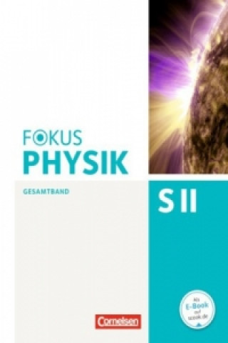 Könyv Fokus Physik Sekundarstufe II - Gesamtband - Oberstufe Stefan Burzin