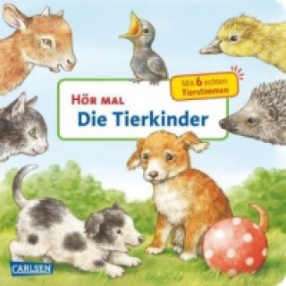 Könyv Hör mal (Soundbuch): Die Tierkinder Anne Möller