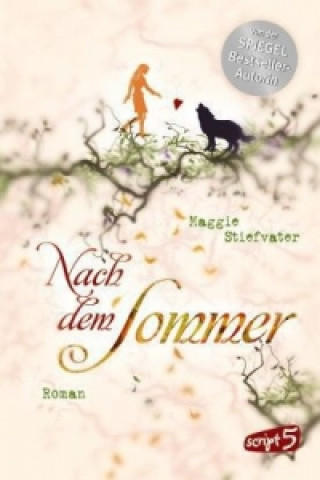 Книга Nach dem Sommer Maggie Stiefvater