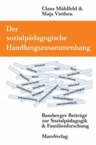 Livre Der sozialpädagogische Handlungszusammenhang Maja Viethen