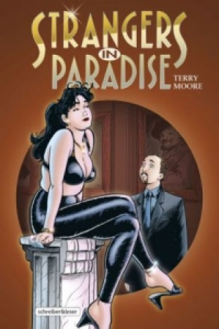 Kniha Strangers in Paradise. Bd.3 Terry Moore
