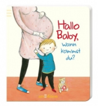 Kniha Hallo Baby, wann kommst du? Lydia Hauenschild