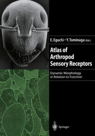 Kniha Atlas of Arthropod Sensory Receptors Eisuke Eguchi