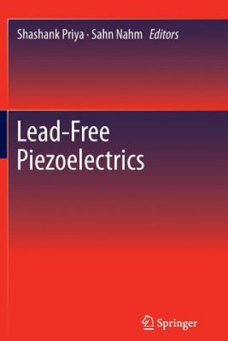 Kniha Lead-Free Piezoelectrics Shashank Priya