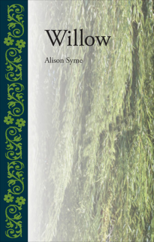 Książka Willow Alison Syme