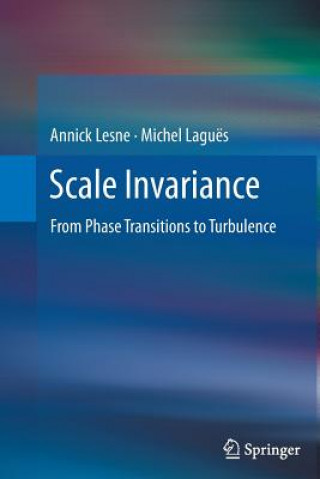 Kniha Scale Invariance Annick LESNE