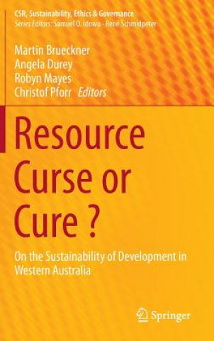 Kniha Resource Curse or Cure ? Martin Brueckner