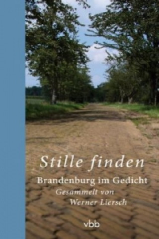 Kniha Stille finden Werner Liersch