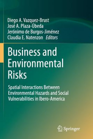 Knjiga Business and Environmental Risks Diego A. Vazquez-Brust