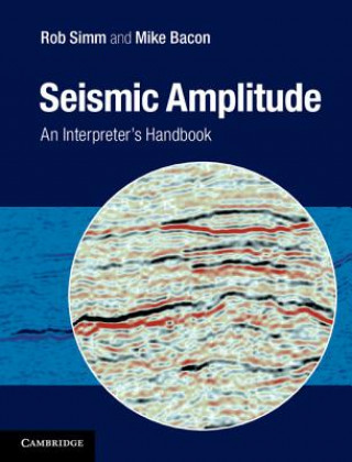 Könyv Seismic Amplitude Rob Simm & Mike Bacon