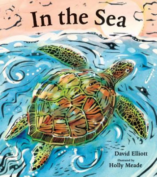 Kniha In the Sea David Elliott