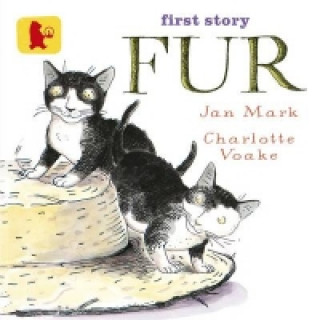 Boek Fur Jan Mark