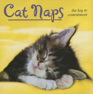 Kniha Cat Naps Robin Haywood