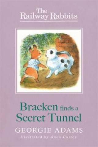 Könyv Railway Rabbits: Bracken Finds a Secret Tunnel Georgie Adams