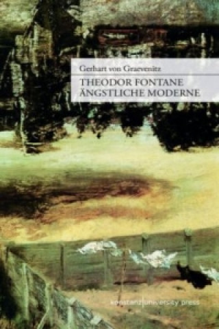 Könyv Theodor Fontane: Ängstliche Moderne Gerhart von Graevenitz