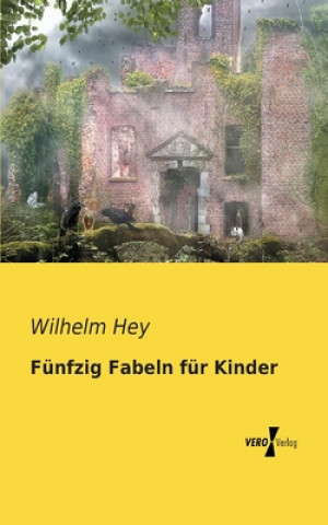 Książka Funfzig Fabeln fur Kinder Wilhelm Hey