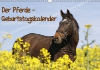 Koledar/Rokovnik Pferde / Geburtstagskalender / AT-Version (Wandkalender immerwährend DIN A3 quer) Antje Lindert-Rottke
