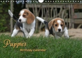 Kalendár/Diár Puppies Birthday Calendar / UK-Version (Wall Calendar perpetual DIN A4 Landscape) Antje Lindert-Rottke
