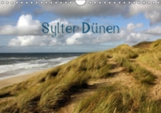 Kalendář/Diář Sylter Dünen (Wandkalender immerwährend DIN A4 quer) Silvia Hahnefeld