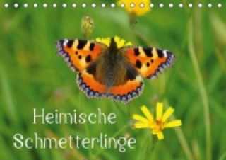 Naptár/Határidőnapló Heimische Schmetterlinge / Geburtstagskalender (Tischkalender immerwährend DIN A5 quer) attobello