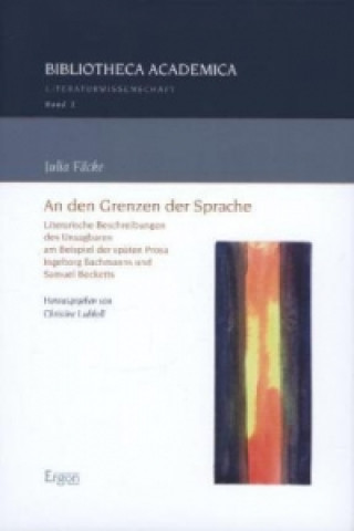 Book An den Grenzen der Sprache Julia Fäcke