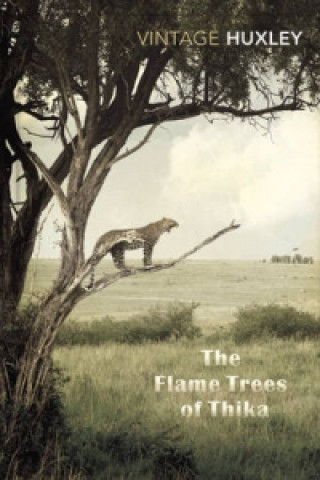 Könyv Flame Trees Of Thika Elspeth Huxley
