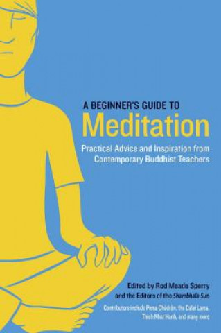 Carte Beginner's Guide to Meditation Rod Meade Sperry