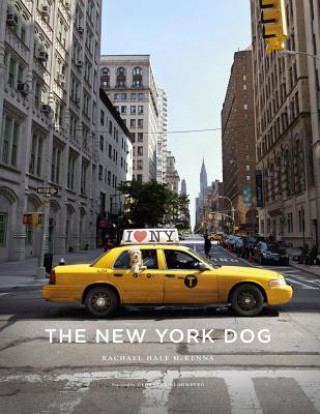 Könyv New York Dog Rachael Hale