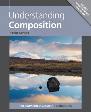 Kniha Understanding Composition David Taylor