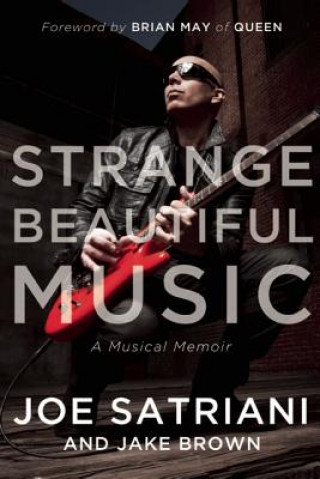 Carte Strange Beautiful Music Joe Satriani