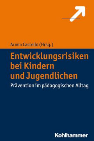 Buch Entwicklungsrisiken bei Kindern und Jugendlichen Armin Castello