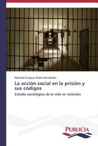 Könyv accion social en la prision y sus codigos Herlinda Enríquez Rubio Hernández