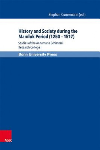 Книга History and Society during the Mamluk Period (1250 - 1517) Stephan Conermann