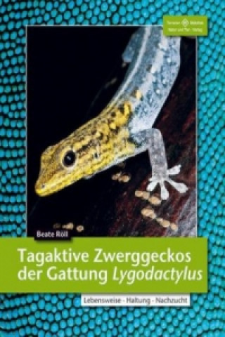 Könyv Tagaktive Zwerggeckos der Gattung Lygodactylus Beate Röll