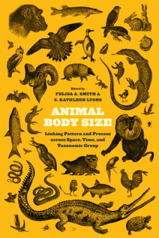 Carte Animal Body Size Felisa A Smith
