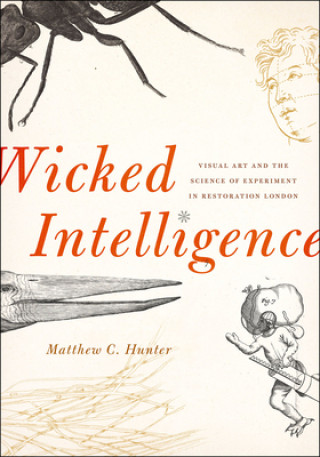 Kniha Wicked Intelligence Matthew C Hunter