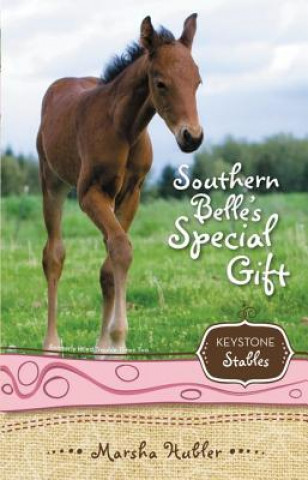 Knjiga Southern Belle's Special Gift Marsha Hubler