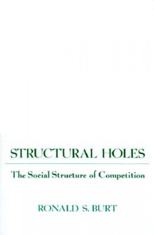 Kniha Structural Holes Ronald S Burt