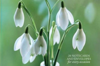 Nyomtatványok Card Box of 20 Notecards and Envelopes: Snowdrop Peony Press