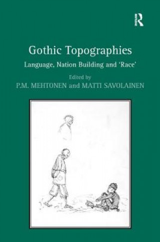 Könyv Gothic Topographies P M Mehtonen