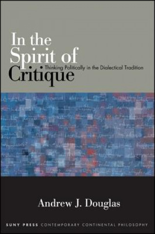 Könyv In the Spirit of Critique Andrew J Douglas