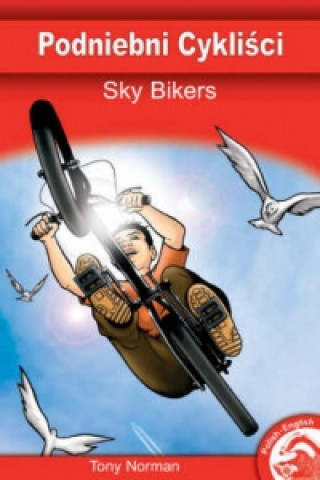 Buch Sky Bikers 
