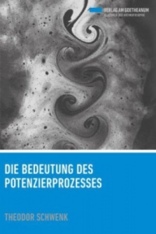 Книга Die Bedeutung des Potenzierprozesses Theodor Schwenk