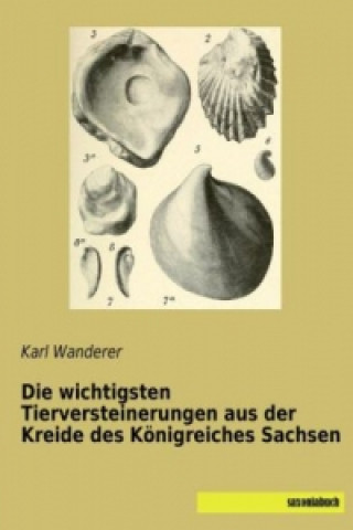 Kniha Die wichtigsten Tierversteinerungen aus der Kreide des Königreiches Sachsen Karl Wanderer