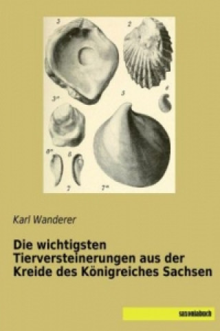 Carte Die wichtigsten Tierversteinerungen aus der Kreide des Königreiches Sachsen Karl Wanderer