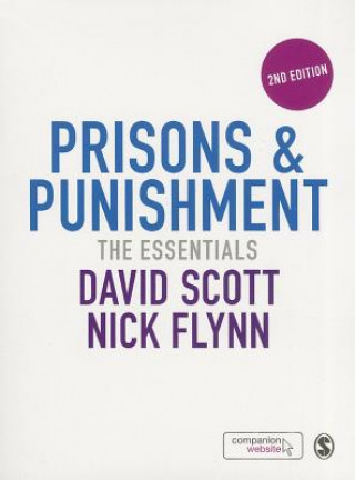 Kniha Prisons & Punishment David Scott & Nick Flynn