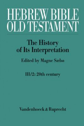 Kniha Hebrew Bible / Old Testament -- The History of Its Interpretation Magne S?b?